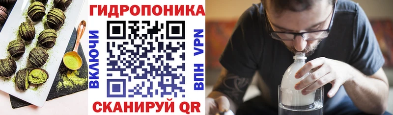 ссылка на мегу как зайти  Павлово  Cannafood марихуана 